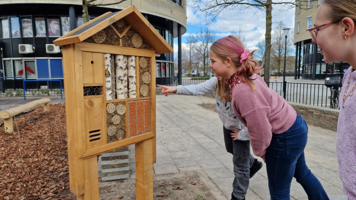 kinderen bij insectenhotel op schoolplein