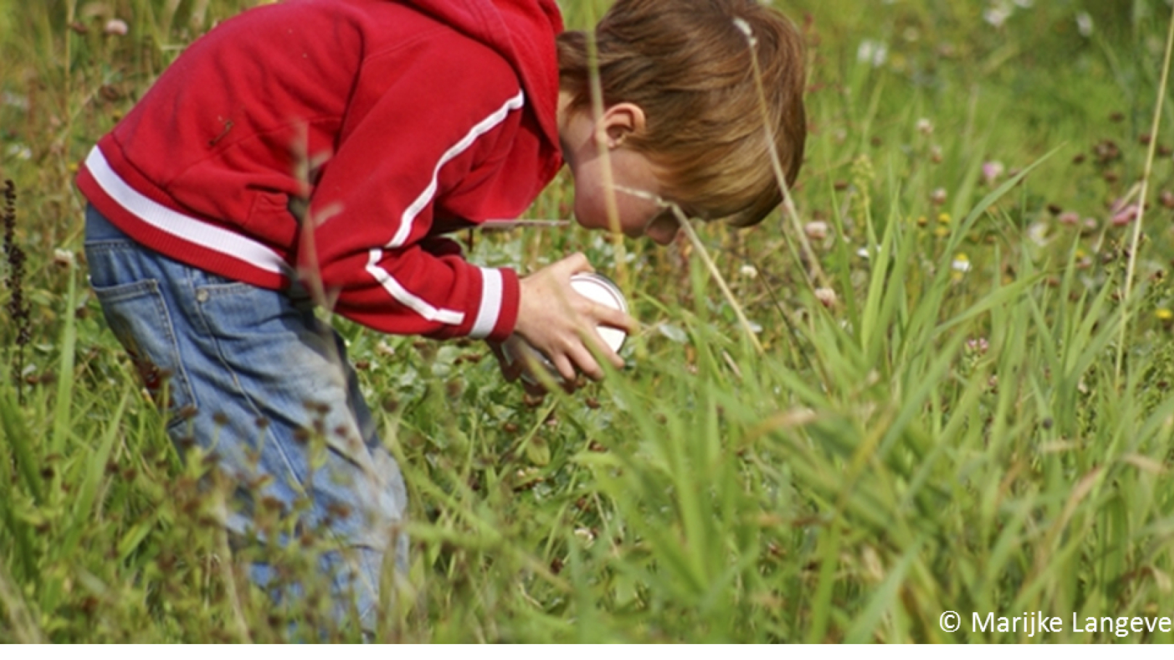 jongetje zoekt beestjes in hoog gras