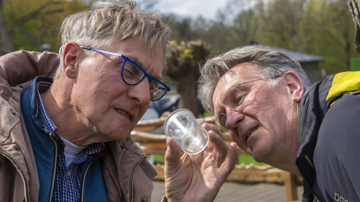 Twee mannen kijken naar een bij in een loeppot