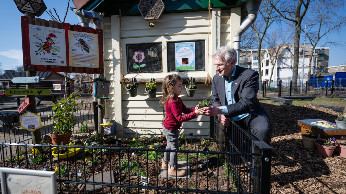 Meisje plant bijenplanten in wijkbijentuintje met hulp van gedeputeerde Berend Potjer