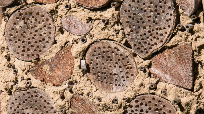 houtblokken in leemwandje bijenhotel