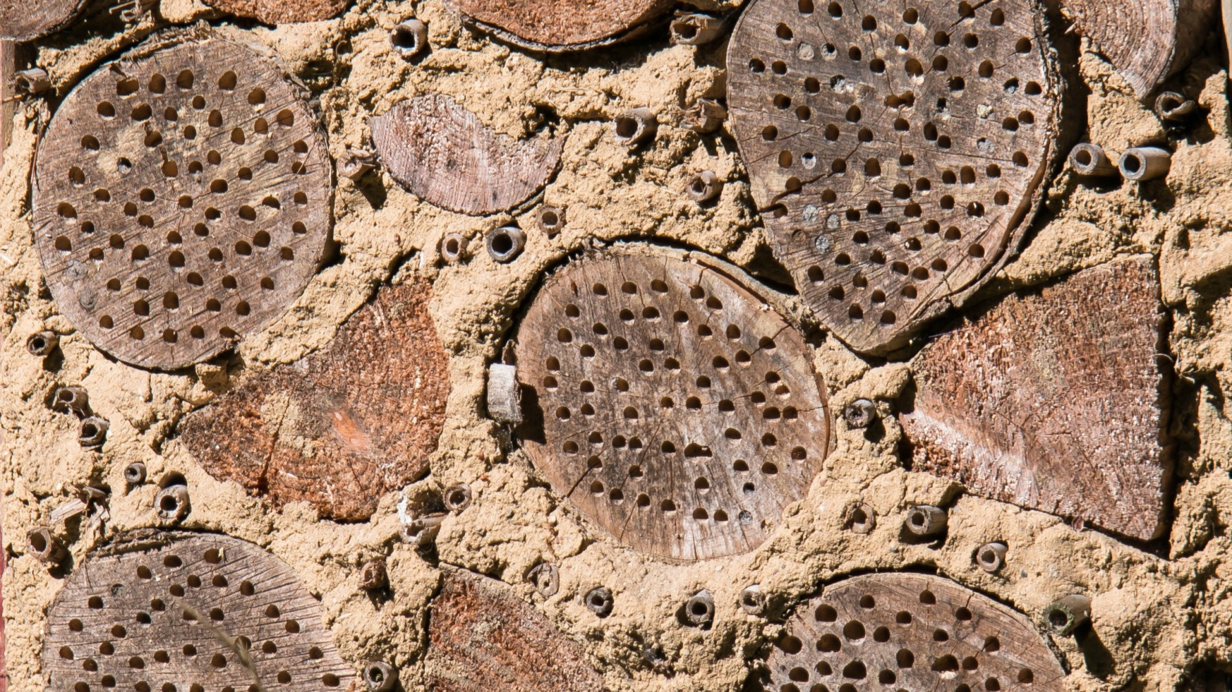 houtblokken in leemwandje bijenhotel