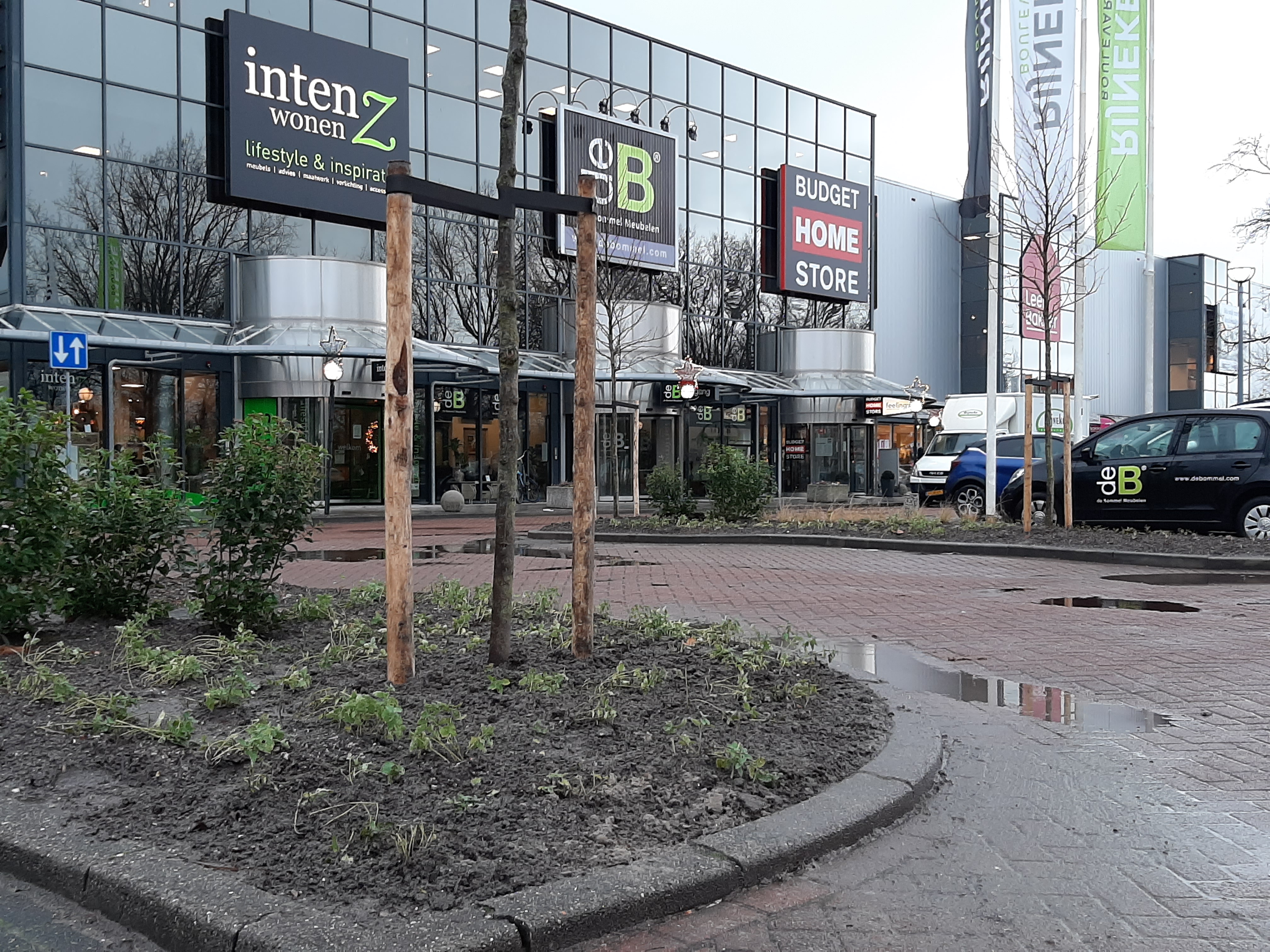 De Rijneke Boulevard gaat bloeien!