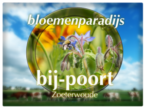Logo bloemenparadijs bijpoort Zoeterwoude